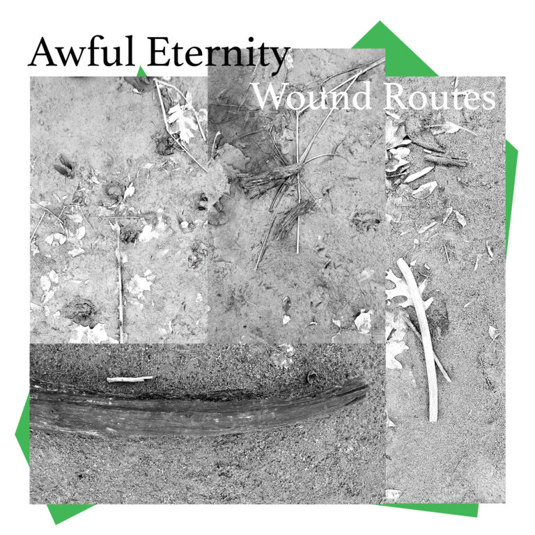 Track Premiere: “Searing Emptiness” by Awful Eternity